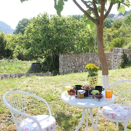 The Fig House Διαμέρισμα Rozat