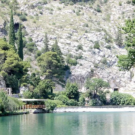 The Fig House Rozat