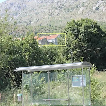 The Fig House *
